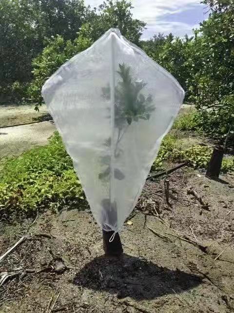 果树防虫网罩
