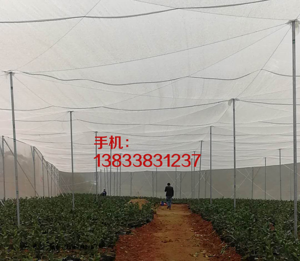大棚防虫网